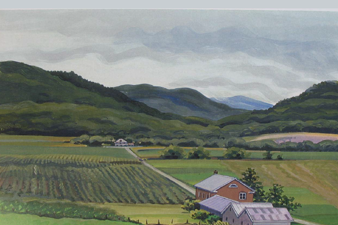 Hinesburg Action Report