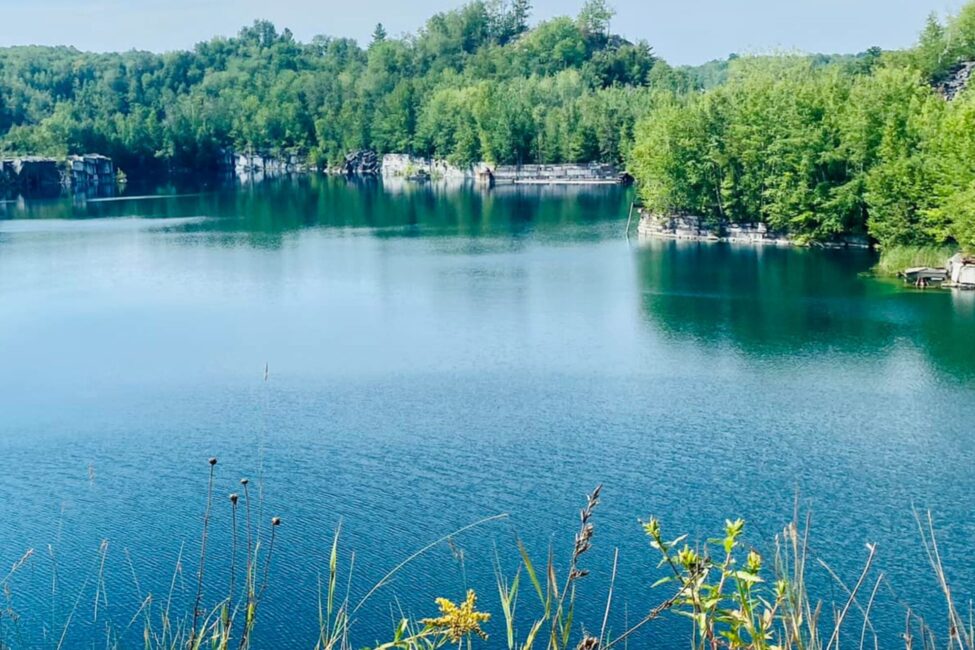 VCRD in the News VCRD in the News