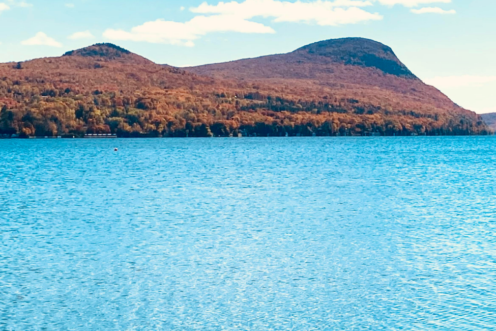 Community News VCRD Community News VCRD