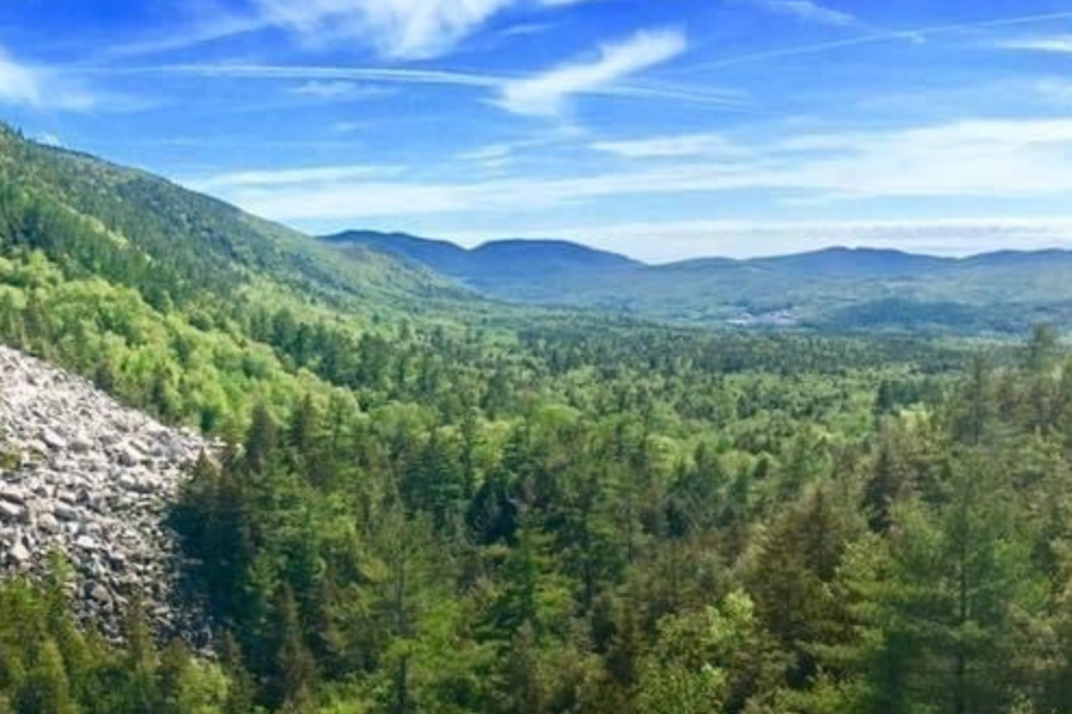 VCRD Innovator Stories VCRD Innovator Stories